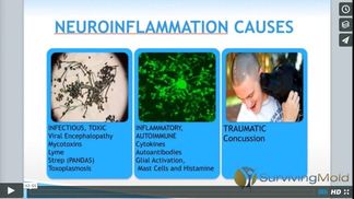 2016 Third Annual Conference Irvine, CA - Mary Ackerley, MD - Brain on Fire: Neuroinflammation and CIRS 