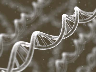 dna