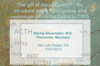 Gift of Neuroquant