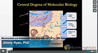 2016 Third Annual Conference Irvine, CA - Jimmy Ryan, PhD.  Mitochondrial and Ribosomal Gene Regulation by VIP in CIRS Patients 