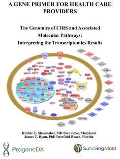 A Gene Primer For Healthcare Providers