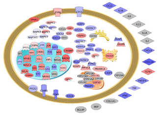 GENIE (Genomic Expression: Inflammation Explained) Now Available!