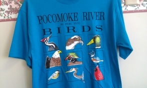 Pocomoke Trail Fundraiser