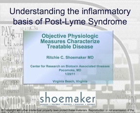 Understanding the Inflammatory Basis of Post-Lyme Syndrome *NEW*