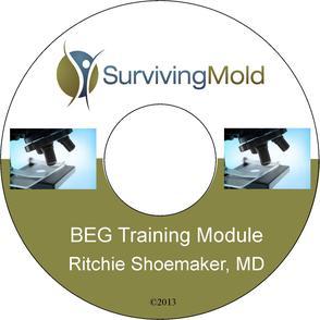 BEG Module