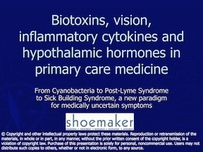 Biotoxins, Vision, Inflammatory Cytokines and Hypothalamic Hormones in Primary Care Medicine
