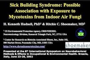 Sick Building Syndrome: Possible Association with Exposure to Mycotoxins from Indoor Air Fungi