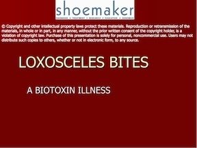 Loxosceles Bites:  A Biotoxin Illness