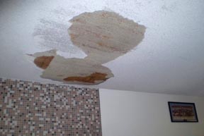 water damaged buildings cause mold illness